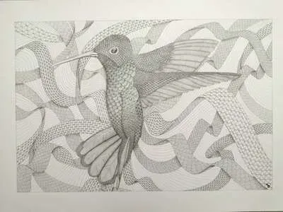 Colibri