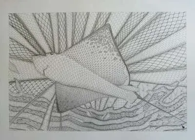 Manta