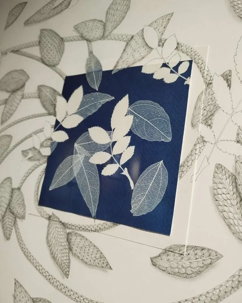 Création artistique dessin et dentelle près de Lille